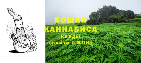 мдпв Волосово