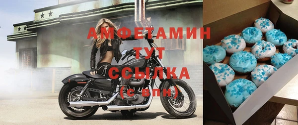 крисы Верхний Тагил
